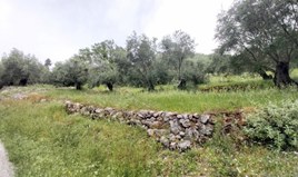 Land 1120 m² auf Korfu