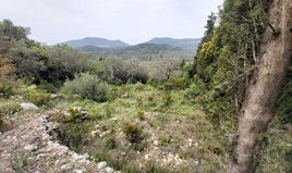 Działka 4000 m² na Korfu