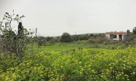Terrain 2000 m² en Crète