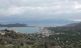 Land 2113 m² in Crete