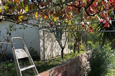Property 50202 photo 27