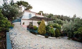 Detached house 225 m² in Eastern Peloponnese - Ermionida