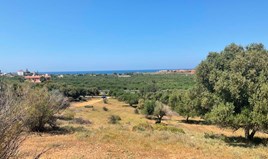 Land 3300 m² in Crete
