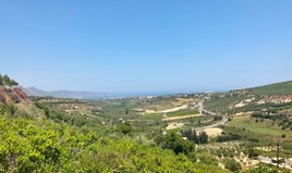 Land 6200 m² auf Kreta