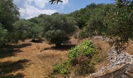 Land 4400 m² auf Korfu