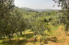 Property 50347 photo 3