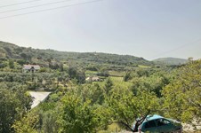 Property 50347 photo 4