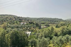 Property 50347 photo 2