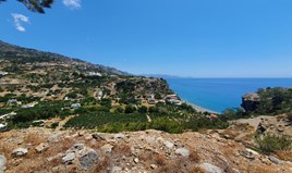 Terrain 9068 m² en Crète