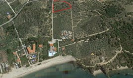 Land 5331 m² on the island of Thassos