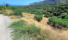 Terrain 1500 m² en Crète