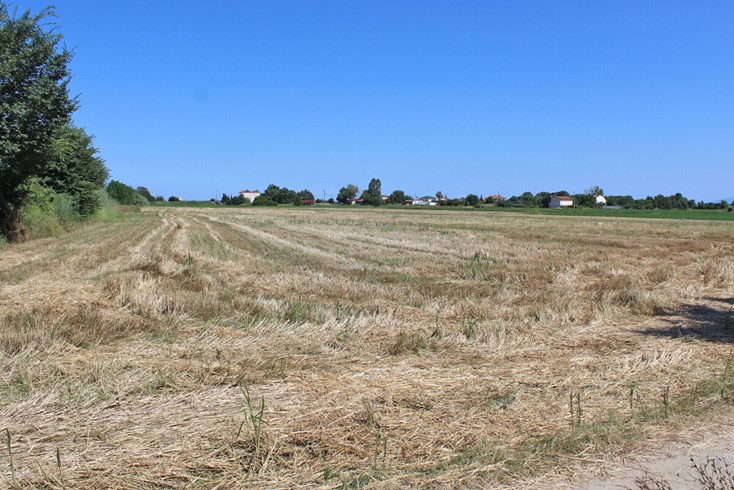 Realty photo 1