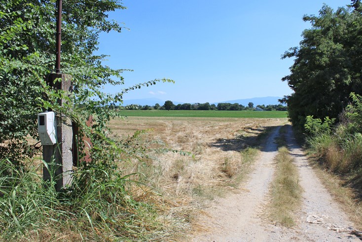 Realty photo 3