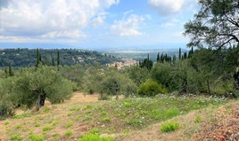 Land 2120 m² auf Korfu