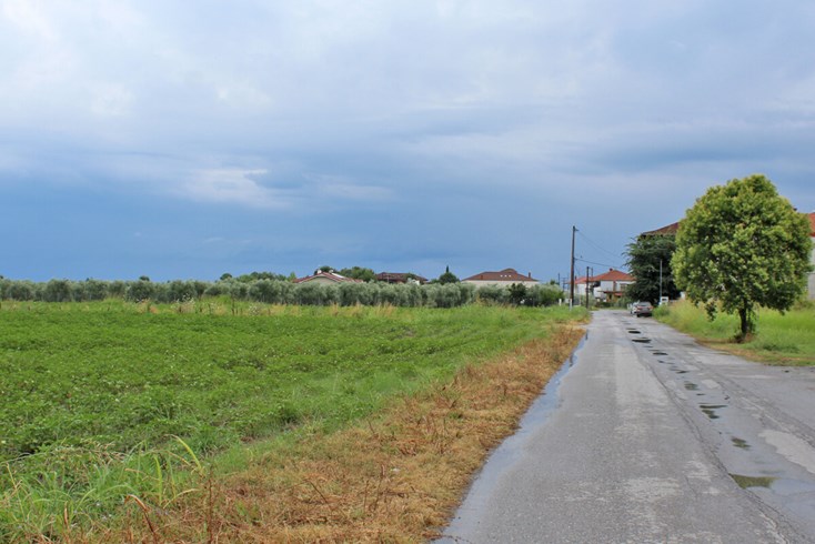 Realty photo 1