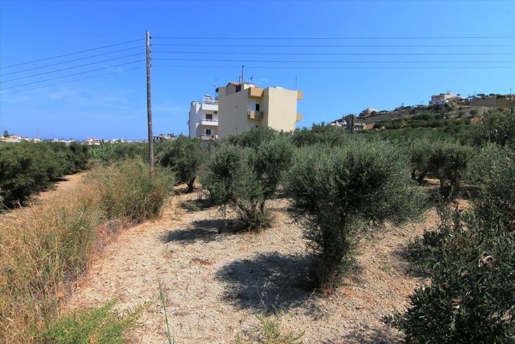 Realty photo 1