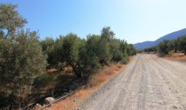 Парцел 5000 m² на Крит