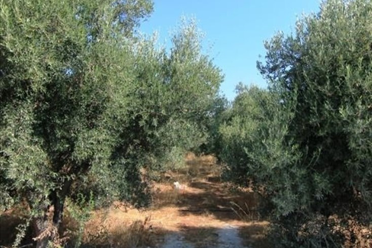 Realty photo 3