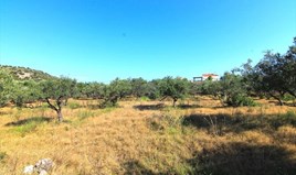 Land 5500 m² auf Kreta