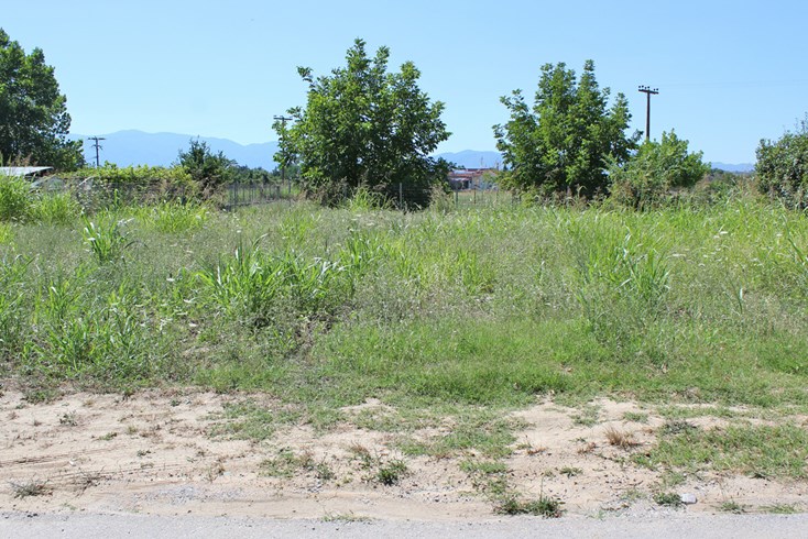 Realty photo 2