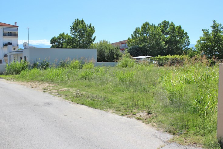 Realty photo 1