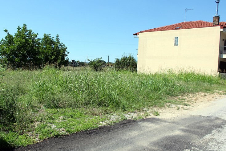 Realty photo 3