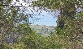 Land 4500 m² auf Korfu