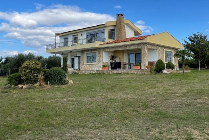 Realty photo 1