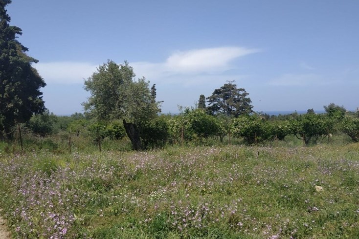 Realty photo 3