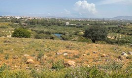 Terrain 36000 m² en Crète