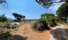 Land 2150 m² auf Korfu