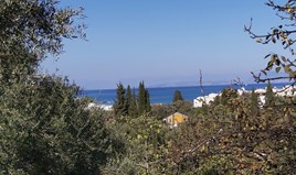 Land 6500 m² auf Korfu