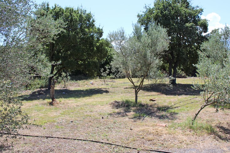 Realty photo 2