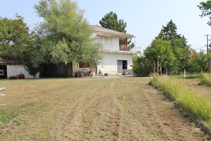 Realty photo 2
