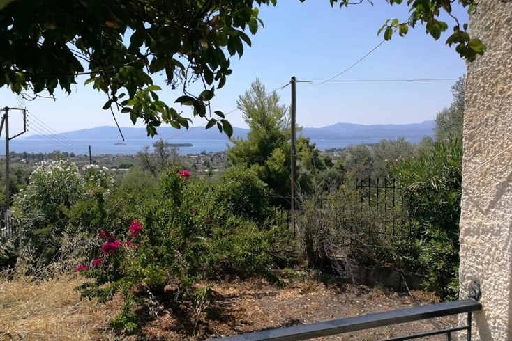 Realty photo 2