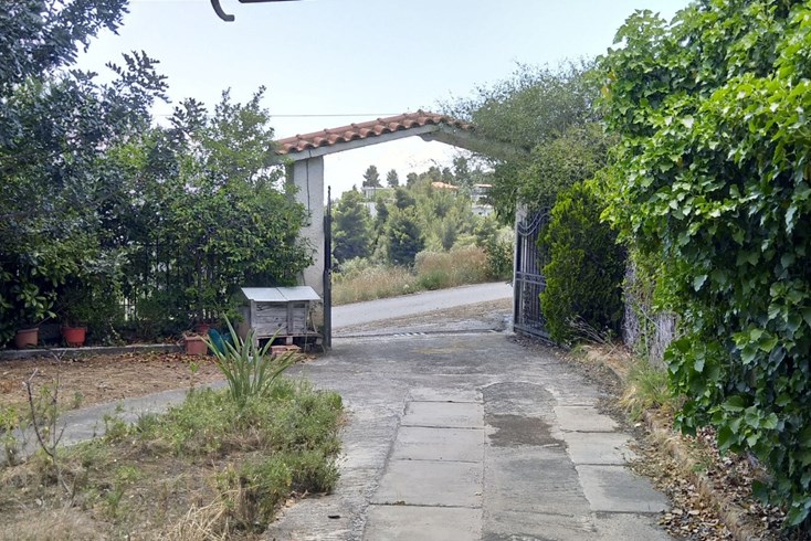 Realty photo 3