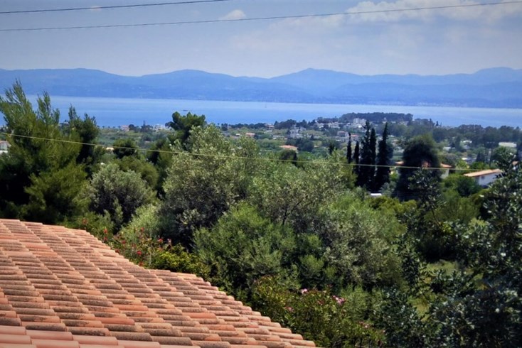 Realty photo 1