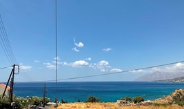 Terrain 5600 m² en Crète