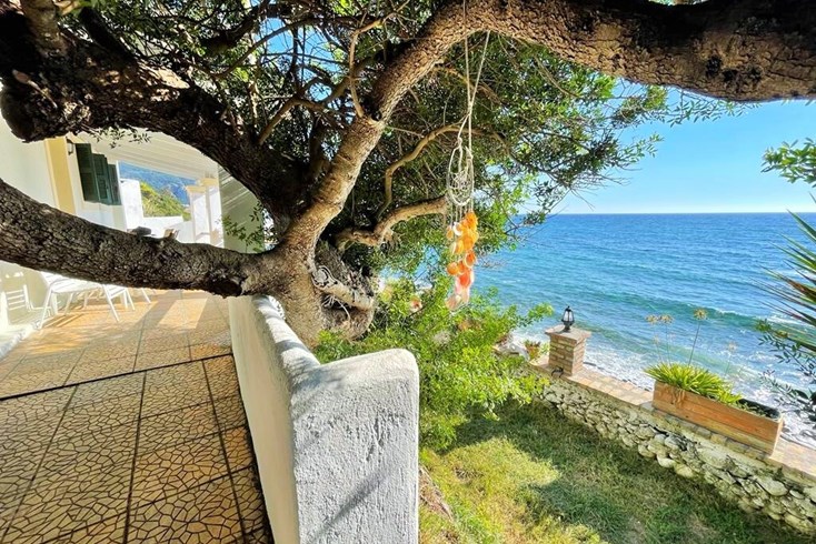 Realty photo 2