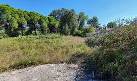 Zemljište 2000 m² na Sitoniji (Halkidiki)