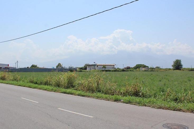 Realty photo 1