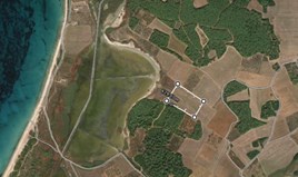 Zemljište 23375 m² na Kasandri (Halkidiki)