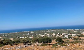 Парцел 20000 m² на Крит