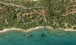 Land 21000 m² in Kassandra, Chalkidiki