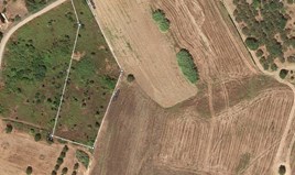 Парцел 5725 m² в Касандра (Халкидики)