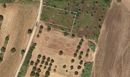 Land 2011 m² in Kassandra, Chalkidiki