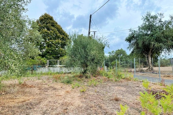 Realty photo 2