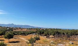Land 2300 m² auf Kreta