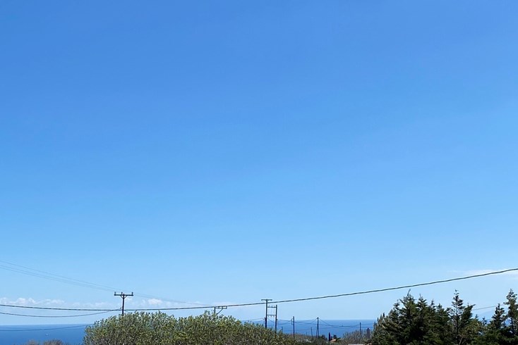 Realty photo 3
