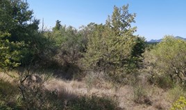 հողատարածք 58000 m² Կորֆու կղզում